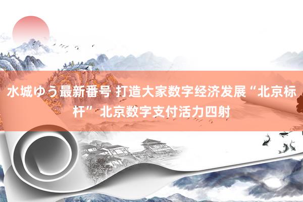 水城ゆう最新番号 打造大家数字经济发展“北京标杆” 北京数字支付活力四射