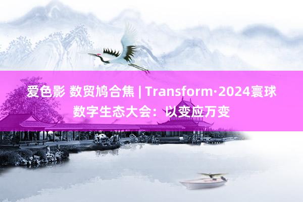 爱色影 数贸鸠合焦 | Transform·2024寰球数字生态大会：以变应万变