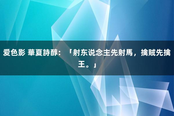 爱色影 華夏詩醇：「射东说念主先射馬，擒賊先擒王。」