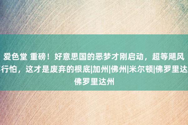 爱色堂 重磅！好意思国的恶梦才刚启动，超等飓风不行怕，这才是废弃的根底|加州|佛州|米尔顿|佛罗里达州