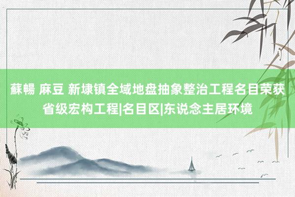 蘇暢 麻豆 新埭镇全域地盘抽象整治工程名目荣获省级宏构工程|名目区|东说念主居环境