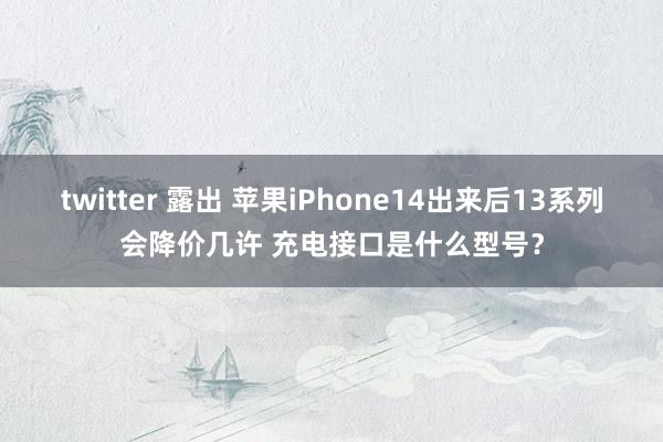 twitter 露出 苹果iPhone14出来后13系列会降价几许 充电接口是什么型号？