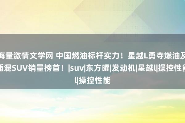 海量激情文学网 中国燃油标杆实力！星越L勇夺燃油及插混SUV销量榜首！|suv|东方曜|发动机|星越l|操控性能