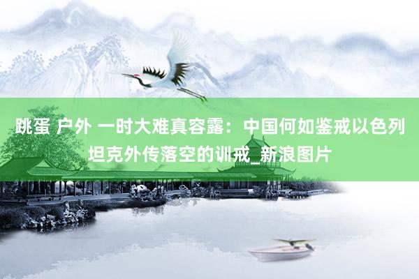 跳蛋 户外 一时大难真容露：中国何如鉴戒以色列坦克外传落空的训戒_新浪图片